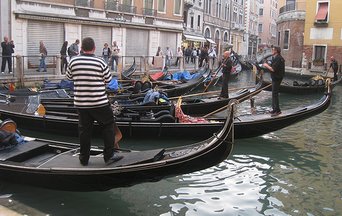 The future of Venice