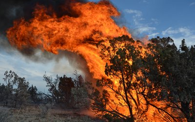 Wildfire Arizona