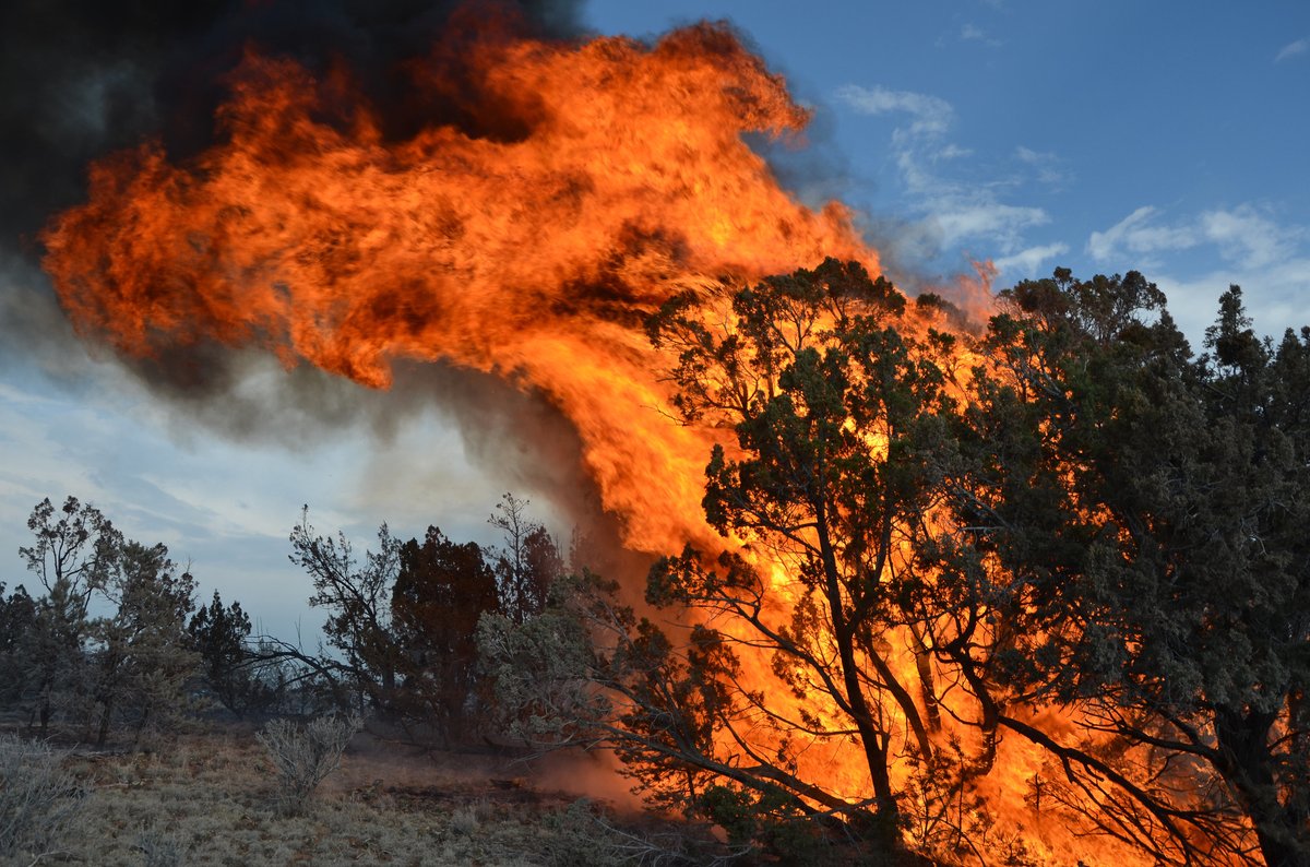 Wildfire Arizona