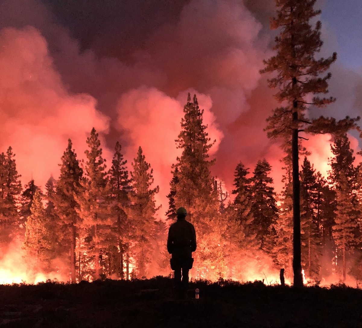 Wildfire England