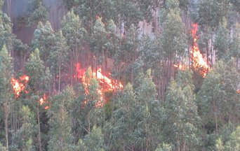 Reaching the targets of the Paris Agreement will not prevent wildfire risk increase in Mediterranean Europe