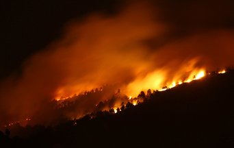 Dry, hot and windy weather over northern Europe: beware of wildfires!