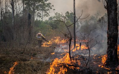 Wildfire Portugal