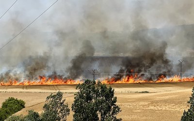 Economic damage of wildfires in Southern Europe is up to €21 billion per season, on average