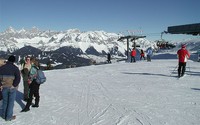 Scenarios for skiing tourism in Austria: demographics versus climate change