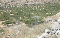 The impact of climate change on droughts at a basin scale on Crete