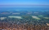 Effects of climate change in the northern Adriatic Sea
