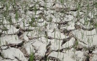 Drought in eastern Mediterranean worst of past 900 years